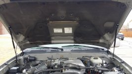 20170303_105507.jpg