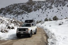 DSC_0209.jpg