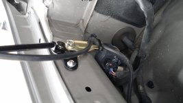 20170303_105413.jpg