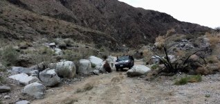 IMG_6684.jpg