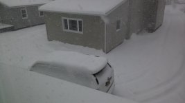 IMG_20170314_131242.jpg