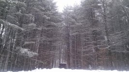 IMG_20170212_140702.jpg