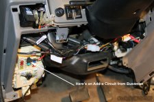 Harness_12.jpg