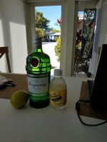 gandtonic.jpg gandtonic.jpg