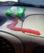 gummi.jpg gummi.jpg