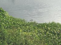 IMG_7194.jpg