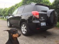 RAV4avatar_small.jpg