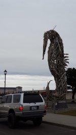 IMG_20170116_200432.jpg