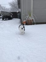 IMG_3252.jpg