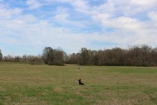 IMG_1218.jpg