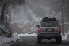 IMG_7408.jpg