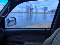 IMG_1397.jpg