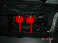 twin horns pic1.jpg
