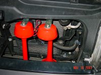 twin horns pic2.jpg