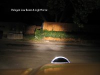low&light.jpg