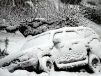 4runner.jpg