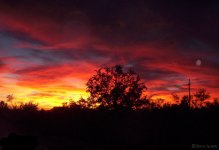 sunset copyright.jpg