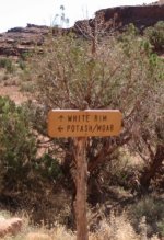 sign.jpeg