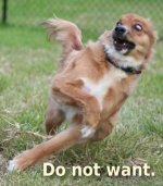 donotwantdogch9.jpg