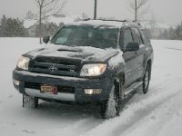 inthesnow.jpg