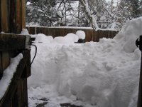 back gate 50.jpg