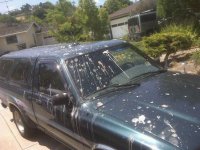 pooptruck.jpg