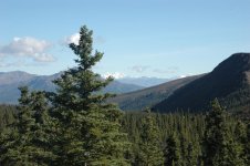 DSC_0033.jpg