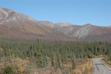DSC_0032.jpg