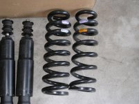 FJ spring 002.jpg