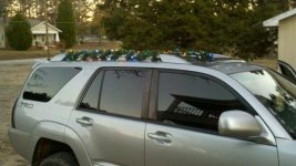 Christmas lights.jpg