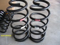FJ spring 006.jpg