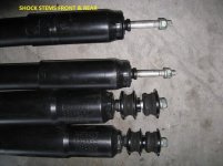 FJ spring 007.jpg