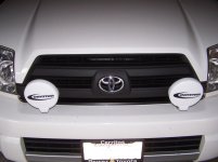 black grille (5).jpg