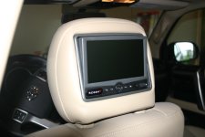 IMG_8175.jpg