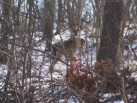 IMG_0654.JPG