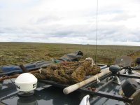 img 026.jpg