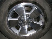 CIMG0251.jpg