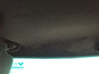 IMG_5339.jpg