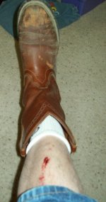 BB18-Right Shin.jpg