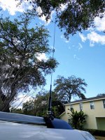 IMG_20170223_170431.jpg