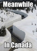 Finniest-Snow-Memes-Ever2.jpg