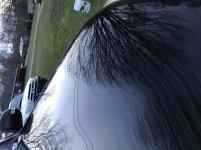 IMG_0121.jpg