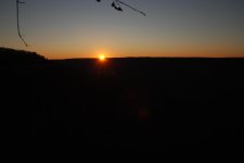 DSC_5219.jpg DSC_5219.jpg
