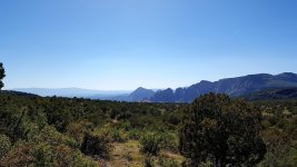 20170513_155252-1.jpg 20170513_155252-1.jpg