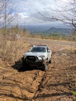 IMG_20170318_140317.jpg