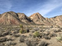 IMG_4033.jpg
