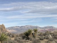 IMG_4030.jpg