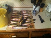 IMG_0115.jpg