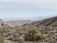 IMG_4006.jpg