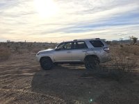 IMG_3984.jpg